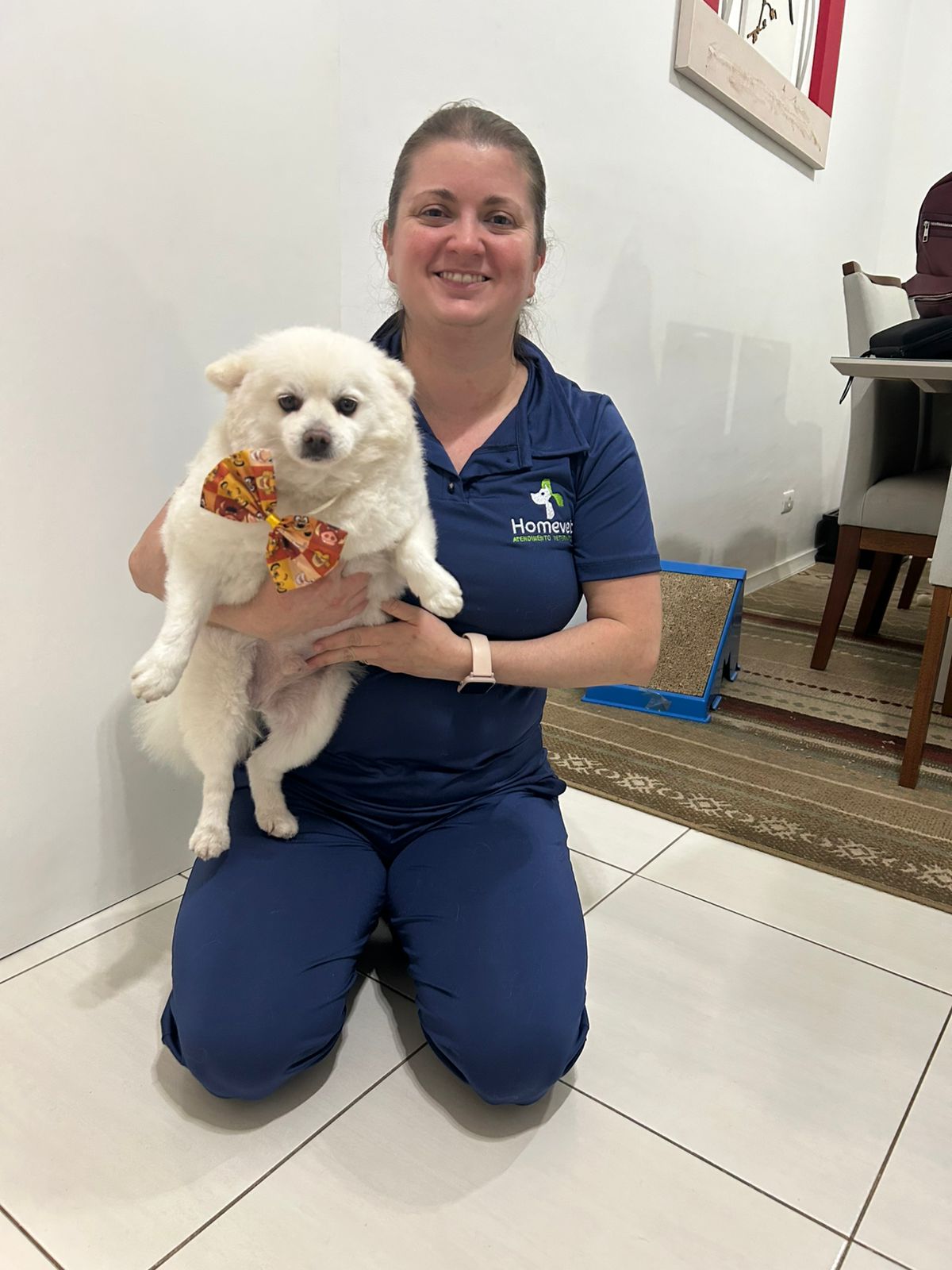 Profissional veterinário atendendo pet em domicílio