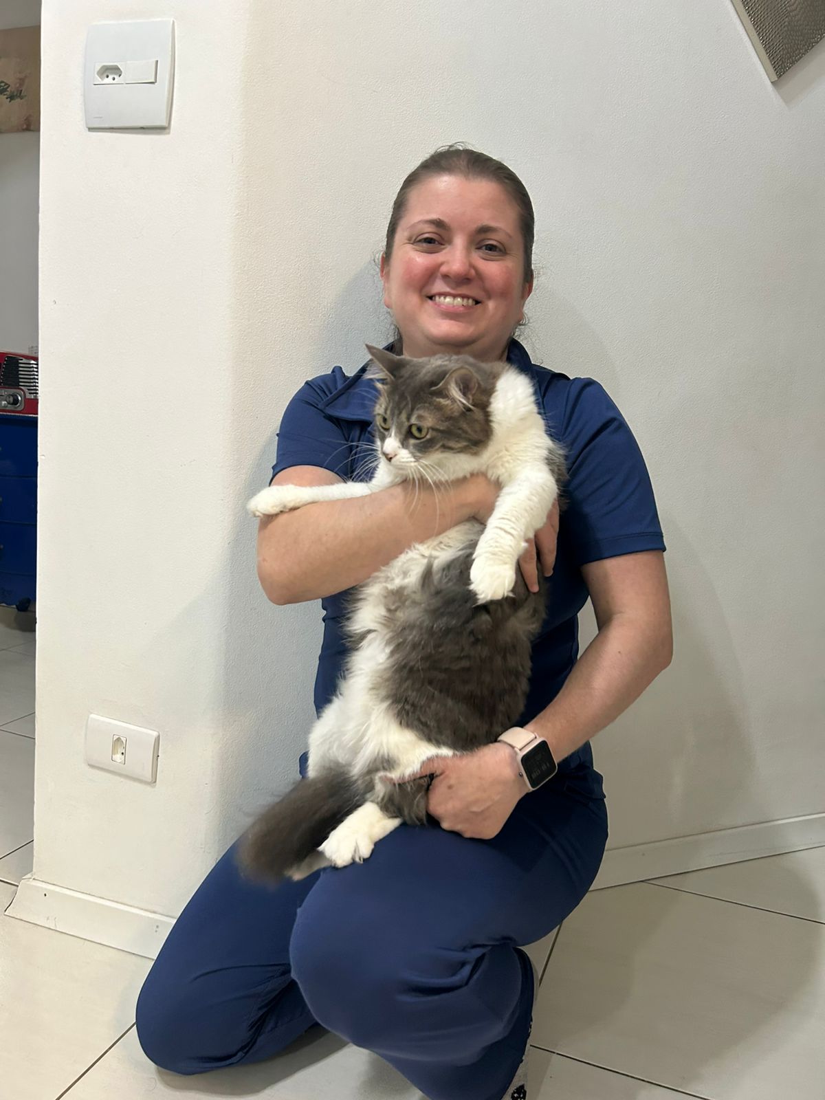 Atendimento veterinário domiciliar