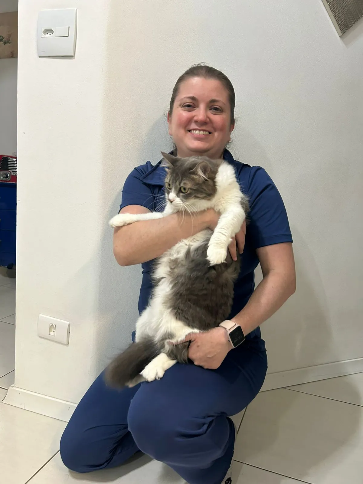 Atendimento veterinário domiciliar