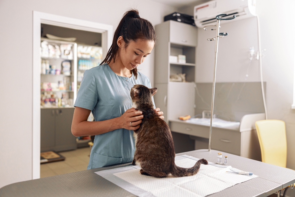 Atendimento veterinário domiciliar