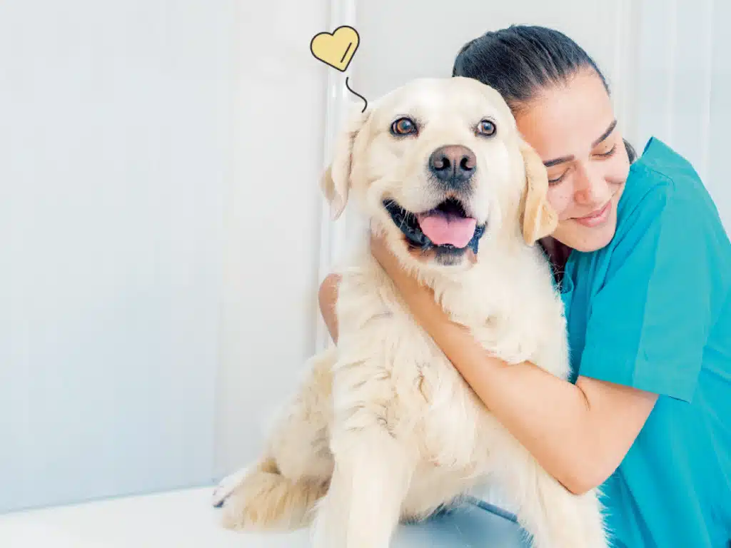veterinário a domicílio em Diadema